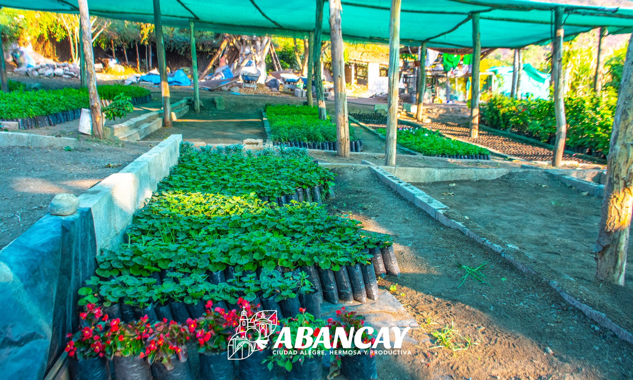 📢💯Municipalidad De Abancay Continua La Implementación De Bio Huertos Escolares.