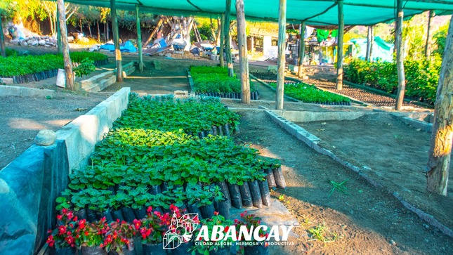 📢💯Municipalidad De Abancay Continua La Implementación De Bio Huertos Escolares.