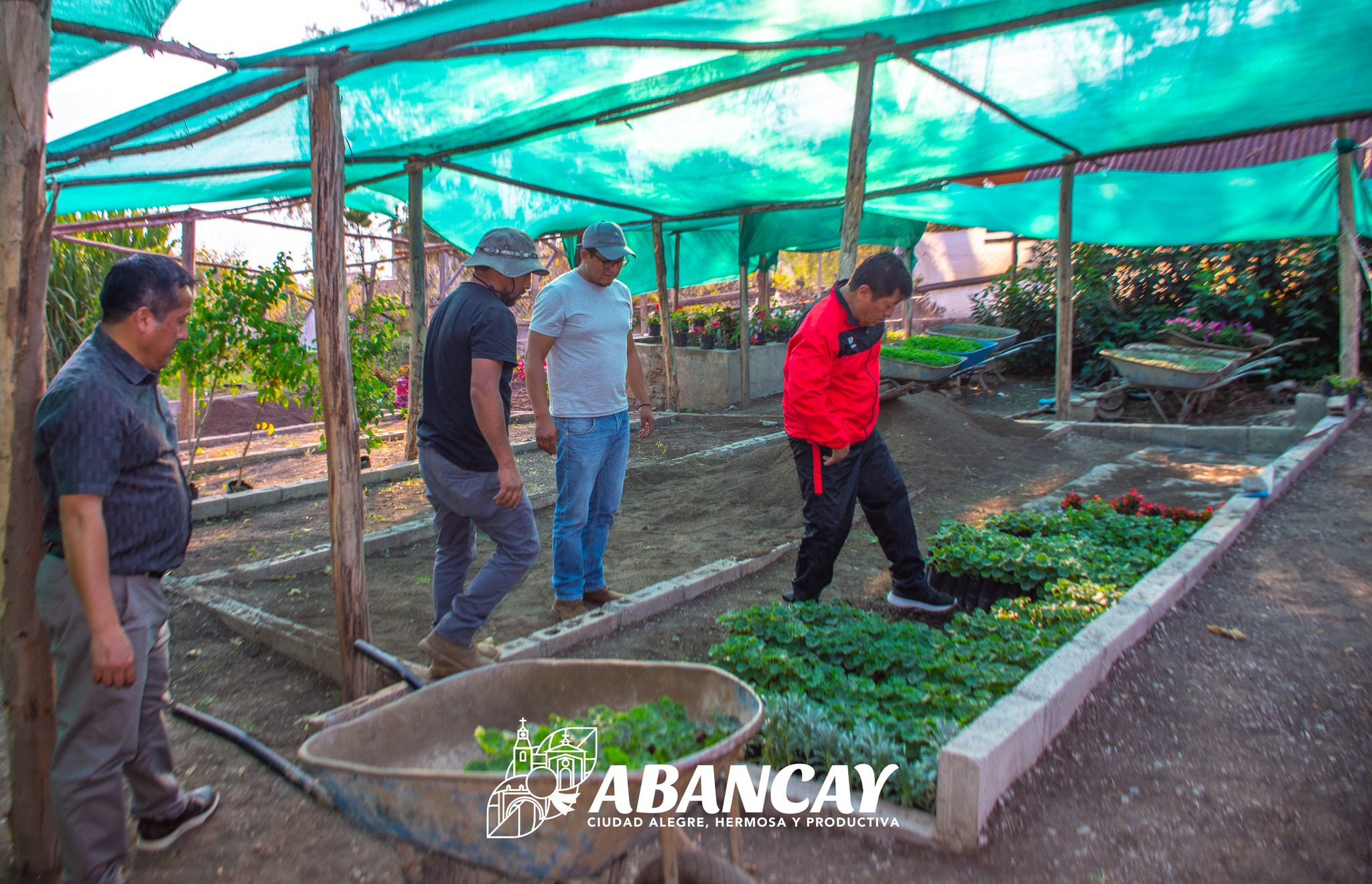 📢💯Municipalidad De Abancay Continua La Implementación De Bio Huertos Escolares.