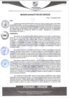 Vista preliminar de documento rgm488