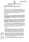 Vista preliminar de documento Resolucion Gerencial N° 336-2024