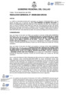 Vista preliminar de documento Resolucion Gerencial N° 339-2024