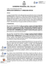 Vista preliminar de documento Resolucion Gerencial N° 322-2024