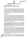Vista preliminar de documento Resolucion Gerencial N° 332-2024