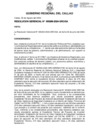 Vista preliminar de documento Resolucion Gerencial N° 289-2024