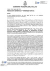 Vista preliminar de documento Resolucion Gerencial N° 296-2024