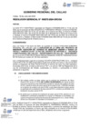 Vista preliminar de documento Resolucion Gerencial N° 272-2024