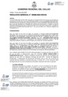 Vista preliminar de documento Resolucion Gerencial N° 266-2024