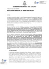 Vista preliminar de documento Resolucion Gerencial N° 256-2024