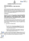 Vista preliminar de documento Resolucion Gerencial N° 0251-2024