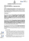 Vista preliminar de documento Resolucion Gerencial N° 246-2024