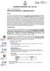 Vista preliminar de documento Resolucion Gerencial N° 223-2024