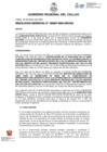 Vista preliminar de documento Resolucion Gerencial N° 207-2024