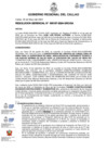 Vista preliminar de documento Resolucion Gerencial N° 197-2024