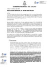 Vista preliminar de documento Resolucion Gerencial N° 185-2024