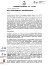 Vista preliminar de documento Resolucion Gerencial N° 155-2024