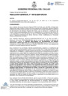 Vista preliminar de documento Resolucion Gerencial N° 132-2024