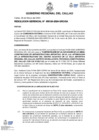 Vista preliminar de documento Resolucion Gerencial N° 124-2024