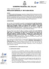 Vista preliminar de documento Resolucion Gerencial N° 119-2024
