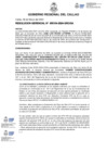 Vista preliminar de documento Resolucion Gerencial N° 104-2024