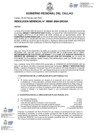 Vista preliminar de documento Resolucion Gerencial N° 091-2024