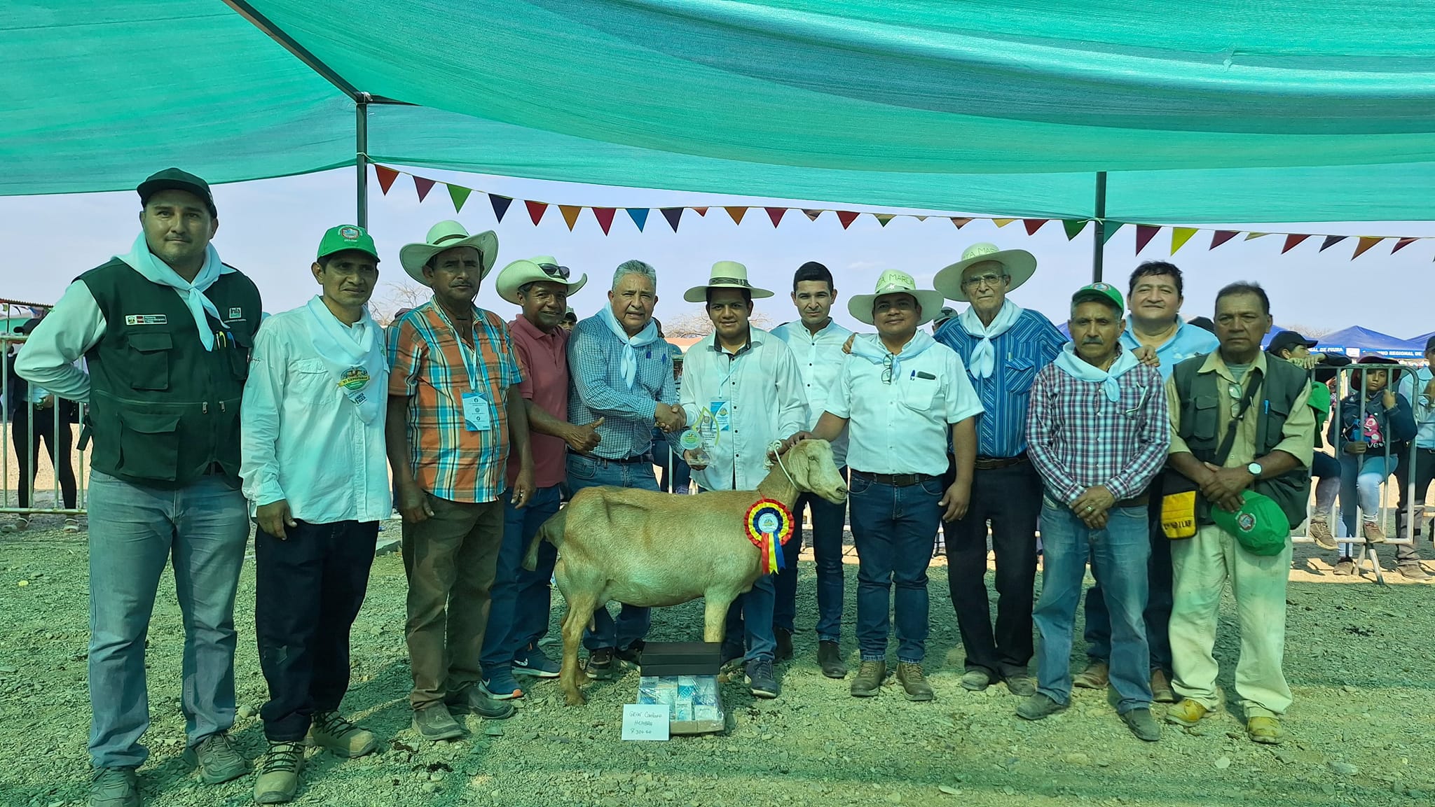 EXPOFERIA 4