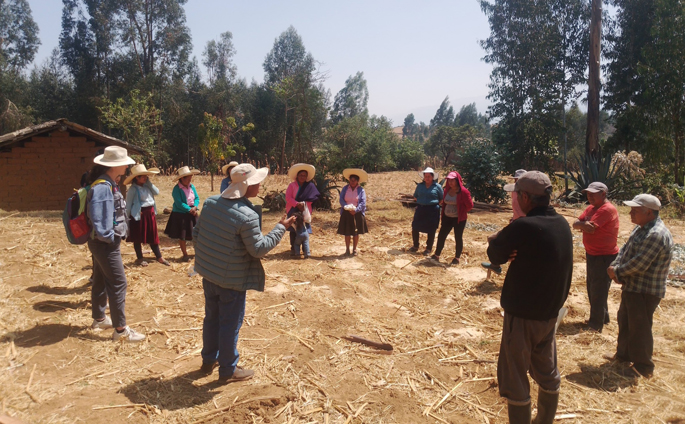 Capacitación en Análisis de Suelo para Agricultores de Cashapamba