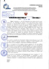Vista preliminar de documento R.D 1524-2024