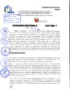 Vista preliminar de documento R.D 1523-2024