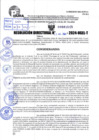 Vista preliminar de documento R.D 1515-2024