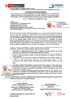 Vista preliminar de documento Comunicado N° 040-2024-SANIPES