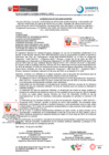 Vista preliminar de documento Comunicado N° 041-2024-SANIPES
