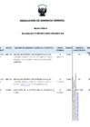 Vista preliminar de documento Anexo para resolución