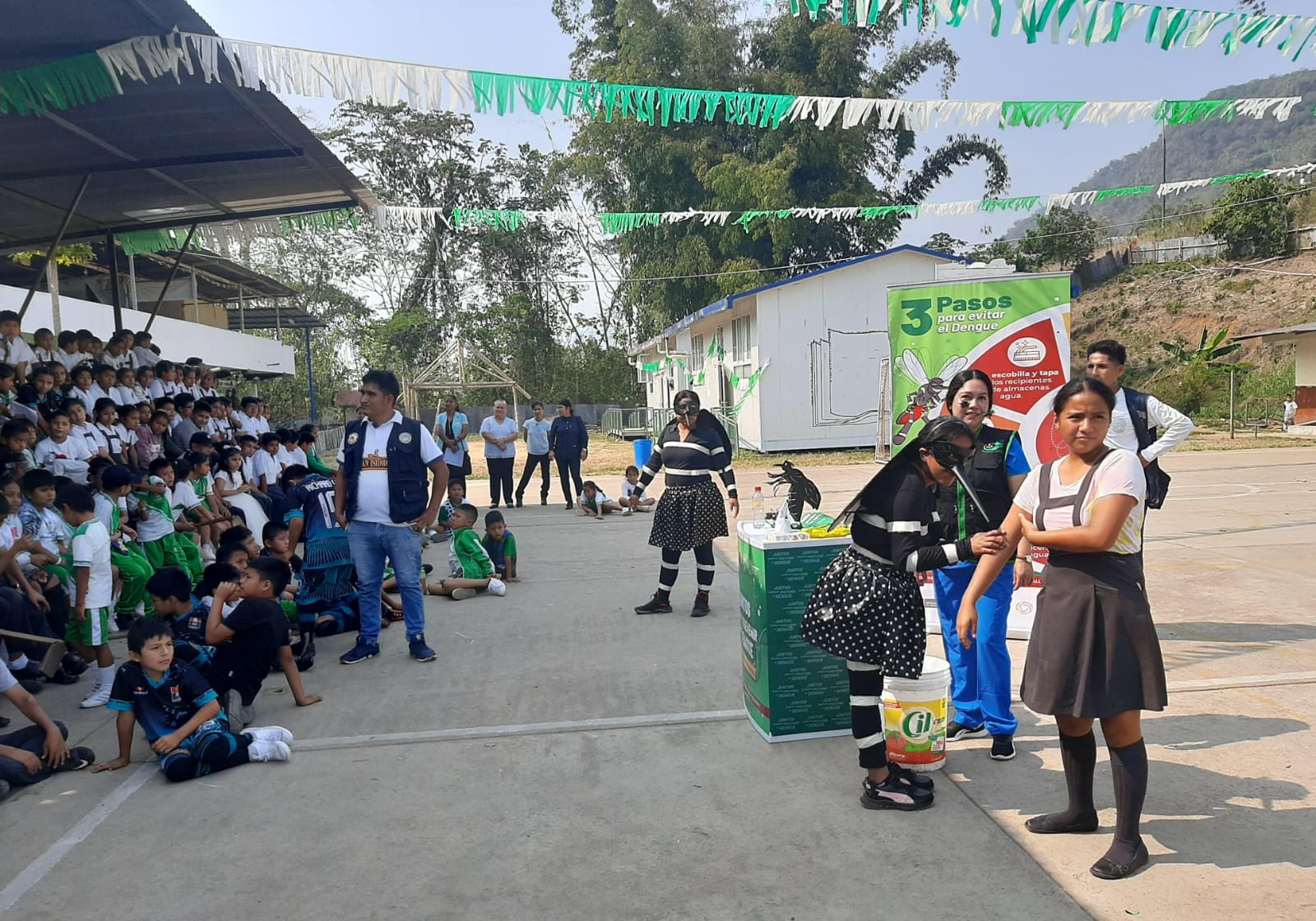 no al dengue