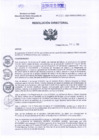 Vista preliminar de documento RD_2024_550