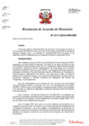 Vista preliminar de documento N°0111-2019-APN-DIR