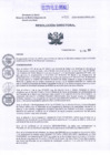 Vista preliminar de documento RD_2024_556