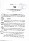 Vista preliminar de documento RGRA-GSRP-188-2024-G-MEMO-102-2024