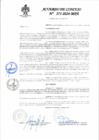 Vista preliminar de documento Acuerdo de Concejo N° 271-2024-MPA