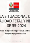 Vista preliminar de documento MORTALIDAD FN_HACH35_2024