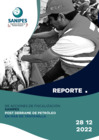 Vista preliminar de documento Reporte 28-12-2022