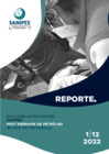 Vista preliminar de documento Reporte 01-12-2022