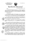 Vista preliminar de documento RD N°211 2024 DG HEJCU