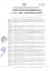 Vista preliminar de documento RSG 813-2024-SGDP