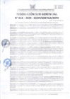 Vista preliminar de documento RSG 814-2024-SGDP