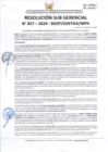 Vista preliminar de documento RSG 817-2024-SGDP