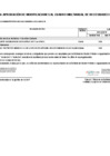 Vista preliminar de documento Anexo N° 06: Cuadro Multianual de Necesidades 2024-80