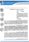 Vista preliminar de documento R.A 306 QR