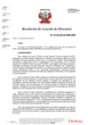 Vista preliminar de documento N°0132-2019-APN-DIR