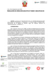 Vista preliminar de documento RESOLUCIÓN DE DIRECCIÓN EJECUTIVA-000011-2024-DE